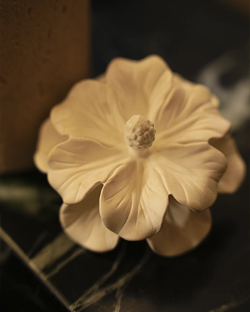 Galeria de imagens da Maison Aura